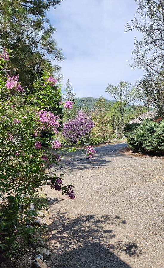 오크허스트 Yosemite Mountain Retreat 빌라 외부 사진